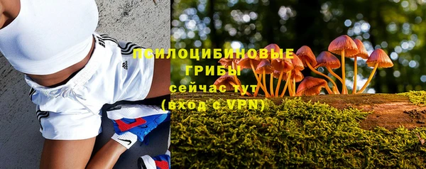 эйфоретик Покровск