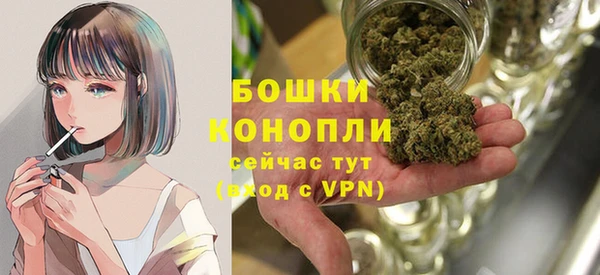 сатива Покачи