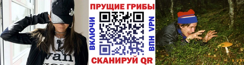 Галлюциногенные грибы мицелий  где продают   мега онион  Кириши 